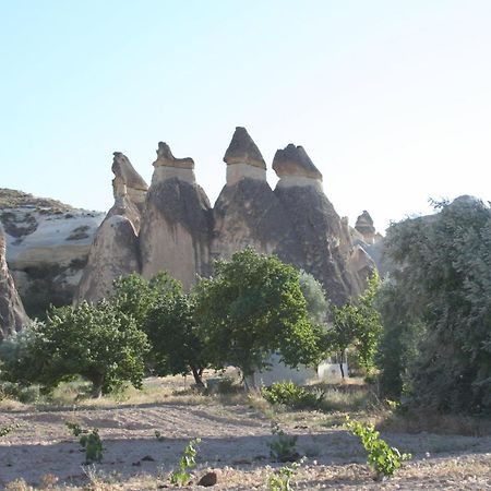 Anatolia Cave Hotel Pension Göreme Kültér fotó