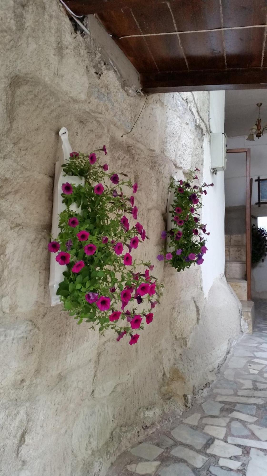 Anatolia Cave Hotel Pension Göreme Kültér fotó